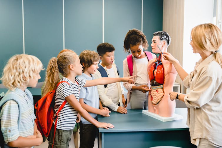 A female teacher talks to a group of school students about a male anatomy doll.