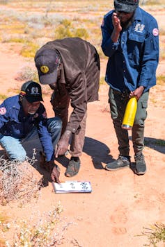Three people comparing tracks in the sand to options on paper record sheets.