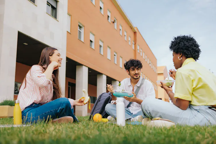 Des étudiants en train de déjeuner sur l’herbe