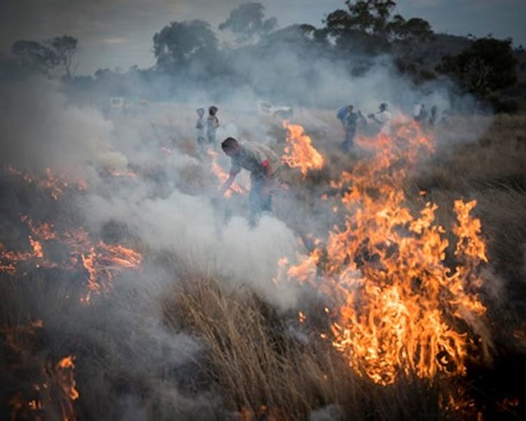 Indigenous practitioners burning grass