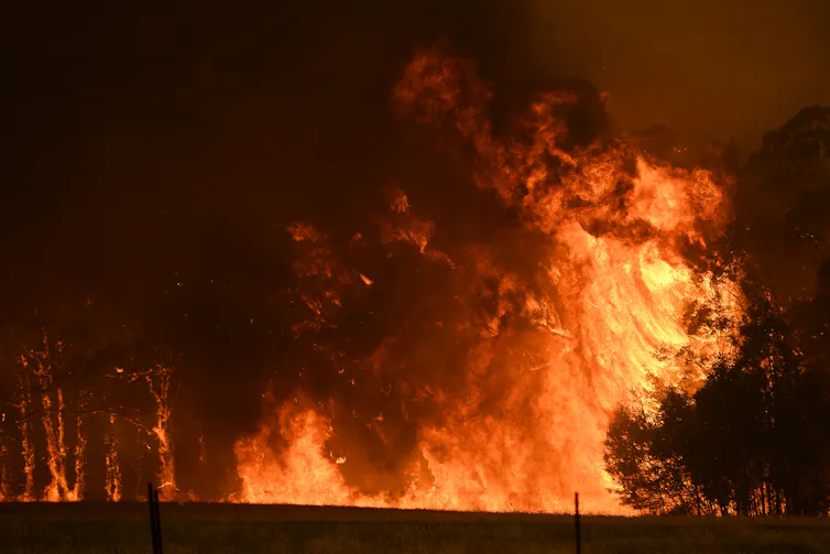 Bushfire engulfing trees, heavy black smoke.