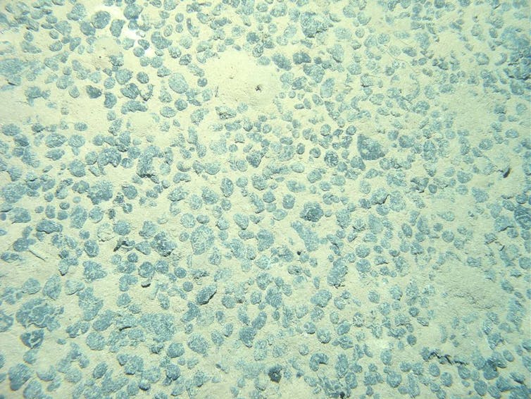 Seabed illuminated showing small, round objects.