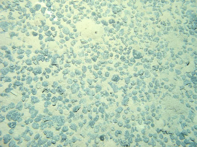 Seabed illuminated showing small, round objects.