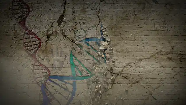 Ancient human DNA from a South African rock shelter sheds light on ...