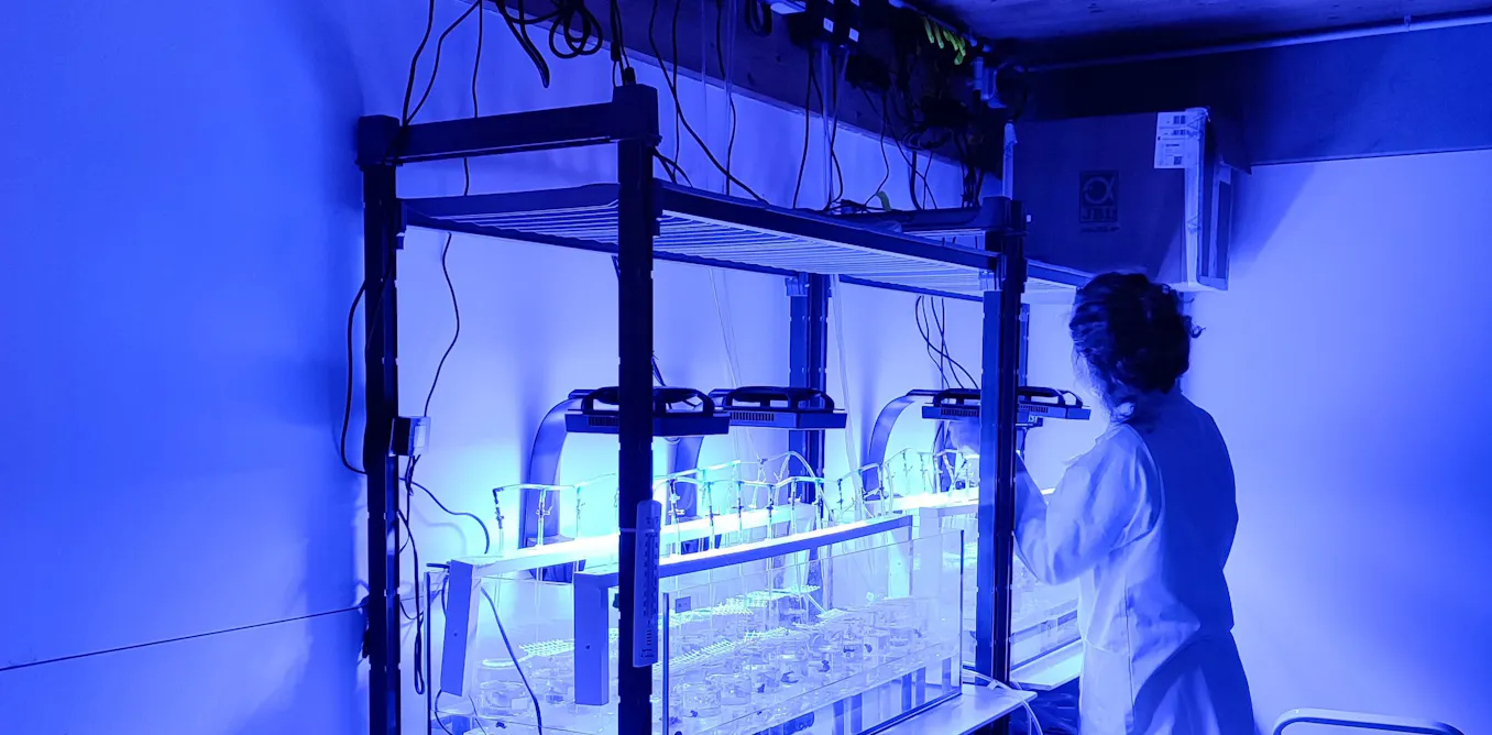 Les secrets de l’aquariologie, une science au service de la conservation des mers et des océans Les secrets de l’aquariologie, une science au service de la conservation des mers et des océans