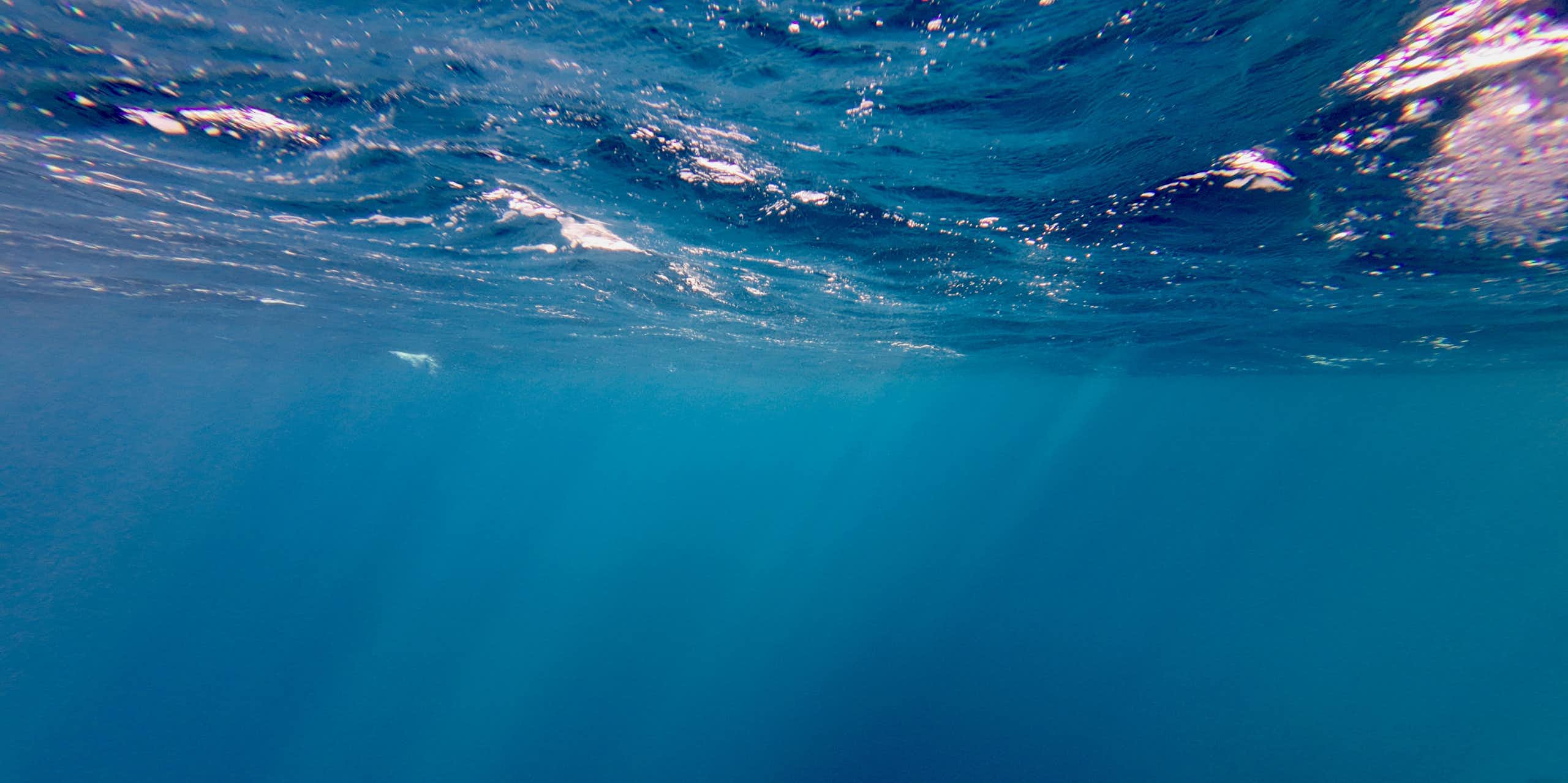 Ocean surface viewed from below