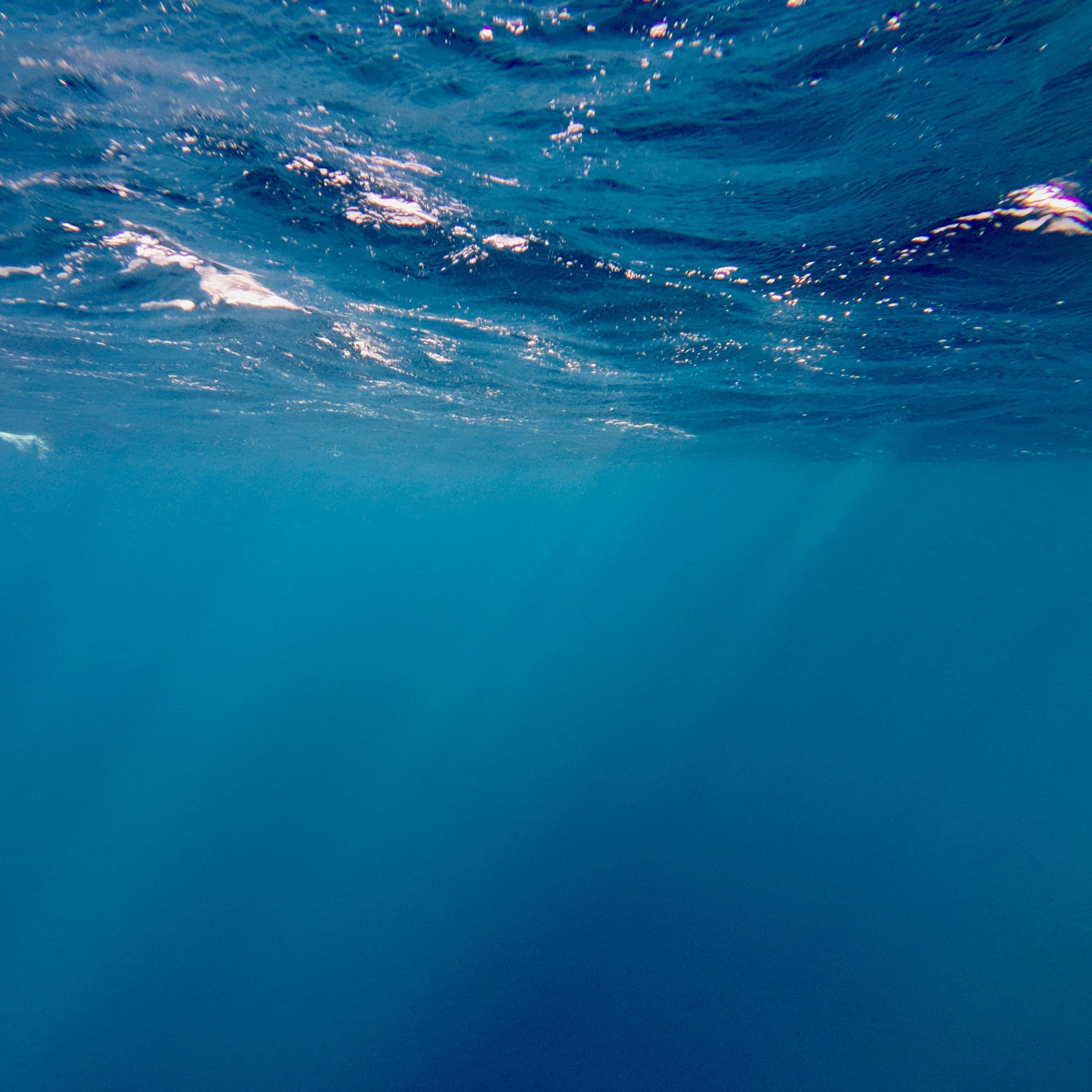 Ocean surface viewed from below