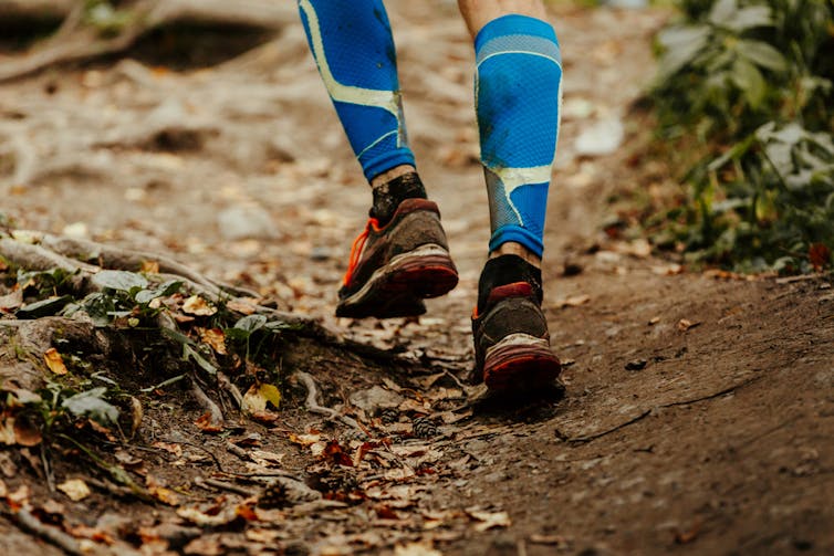 A person's calves running on a dirt trail with bright blue compression socks.