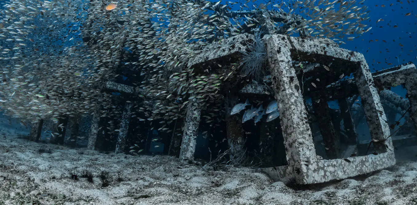 une nouvelle méthode de gestion de la pêche une nouvelle méthode de gestion de la pêche
