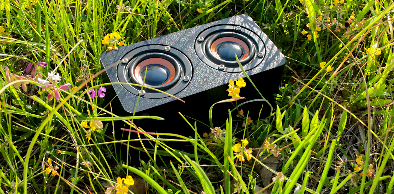 how sound can boost beneficial soil microbes to heal nature how sound can boost beneficial soil microbes to heal nature