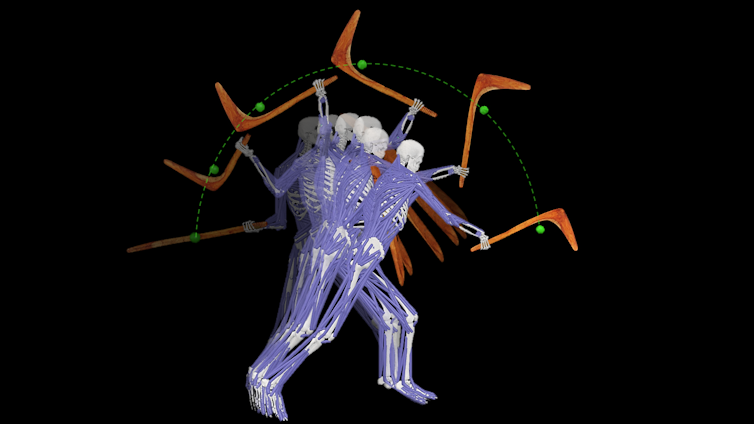 Diagram of a human skeleton with muscle showing a large swing with an l shaped weapon.