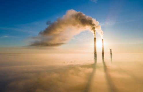 To really be greener, businesses need to look to the boardroom