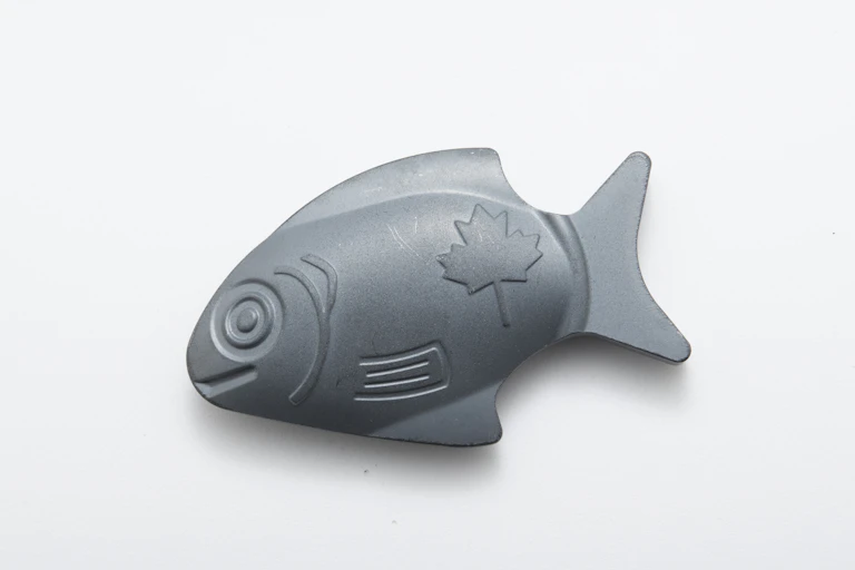 A picture of the cast iron "fish".