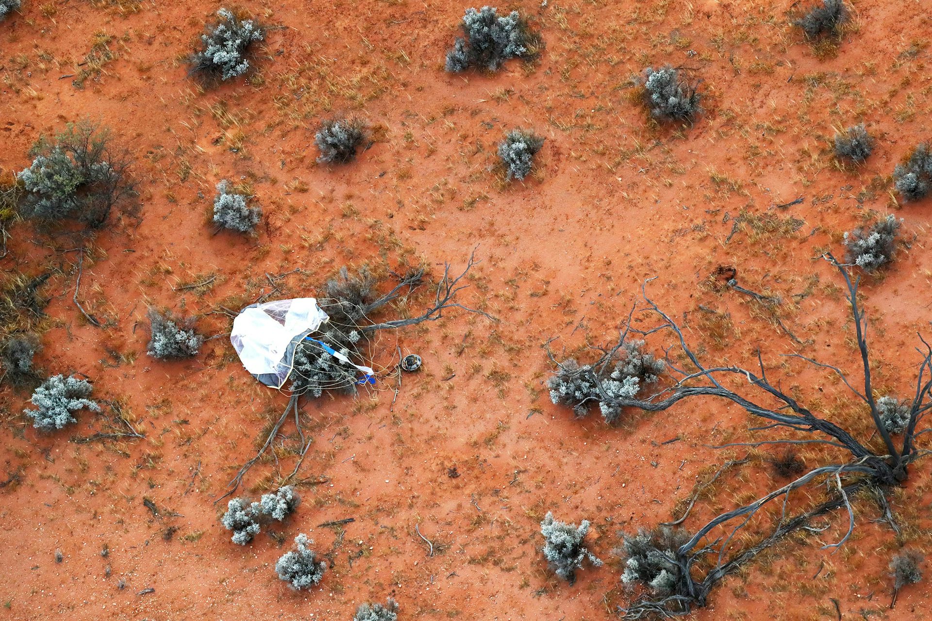 la capsule et son parachute dans le désert