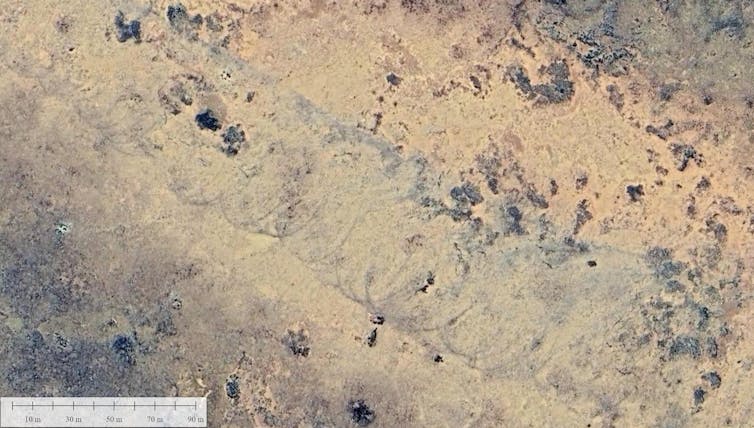 spiralling masks in dry earth