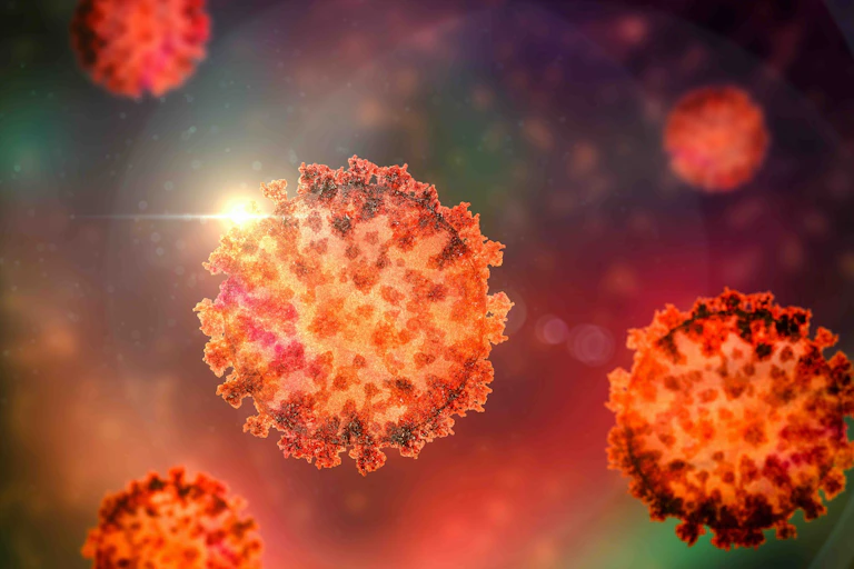 An illustration of SARS-CoV-2, the virus that causes COVID.