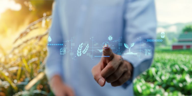 farmer in blue shirt in field, touching AI screen icons