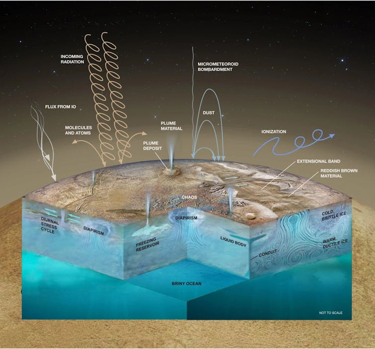 Europa cutaway.