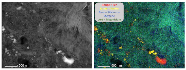 Observation d’un grain de Ryugu au microscope electronique à transmission : morphologie et composition chimique