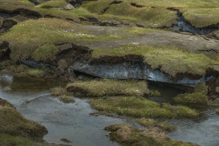 Melting permafrost on Svalbard, ice covered in mossy vegetation