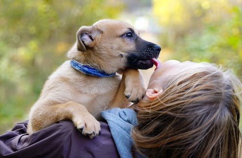 Is owning a dog good for your health?