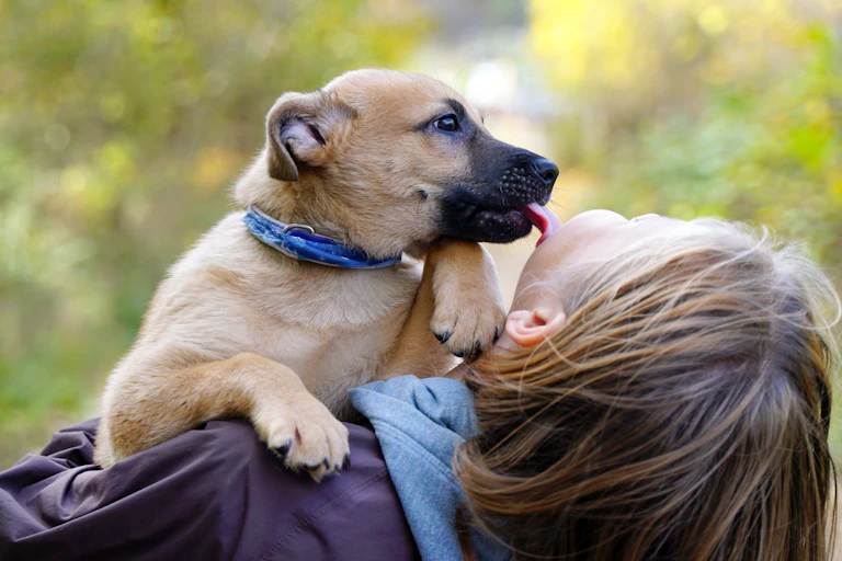 A puppy licks a smiling girl's face.