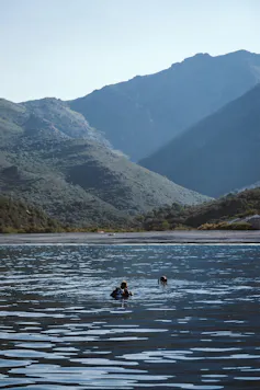 la mer, la Corse et des plongeurs