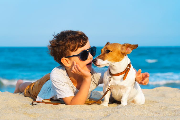 A boy in sunglasses talks to his jack russell terrier on a beach.
