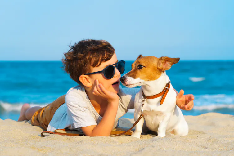 A boy in sunglasses talks to his jack russell terrier on a beach.
