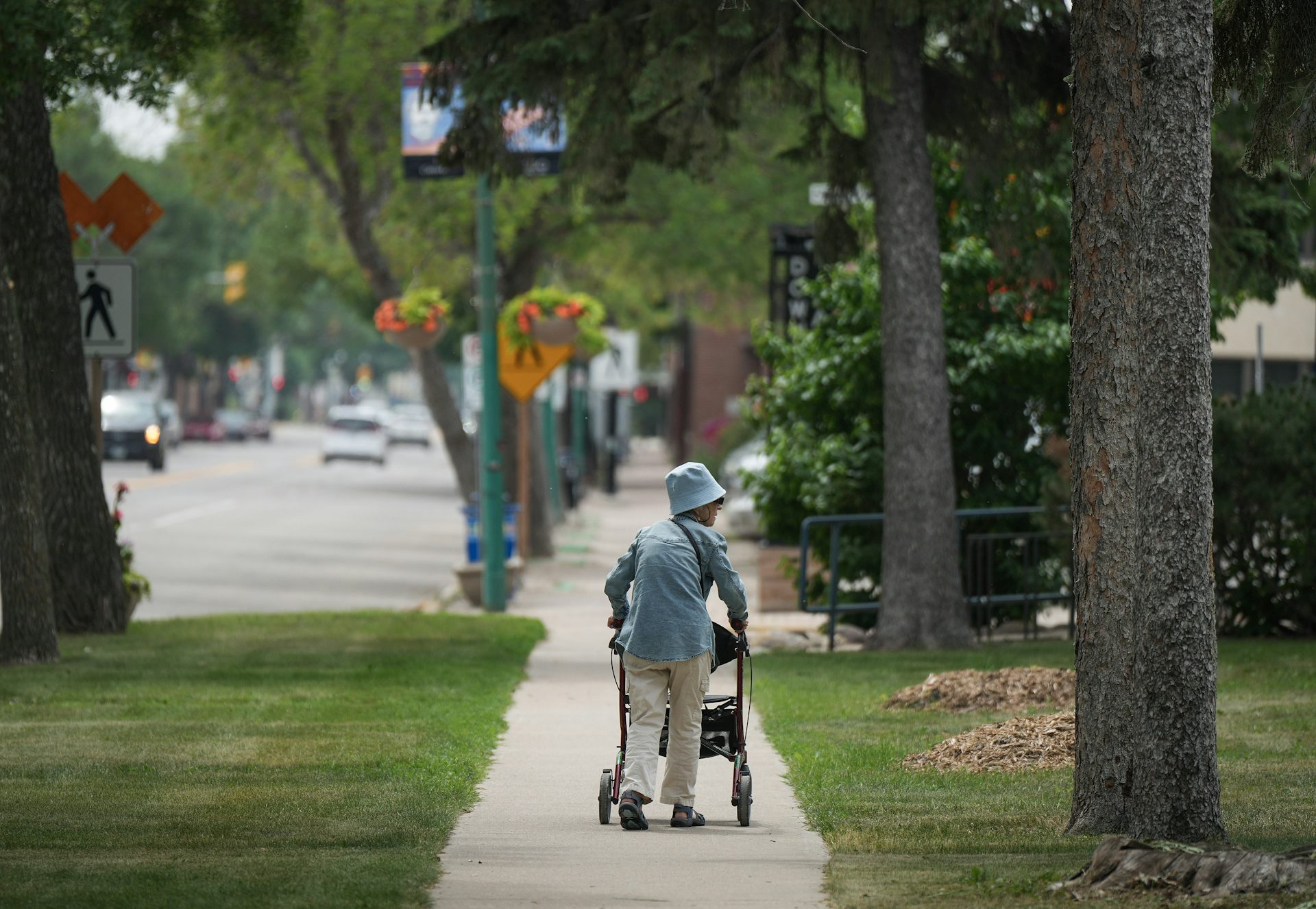 Rear view of an elderly woman in a bucket hat pushing a walker down a city sidewalk