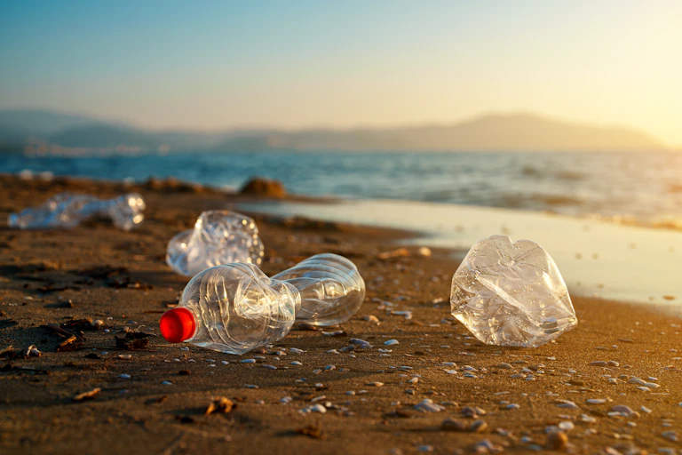 plastic bottle beach