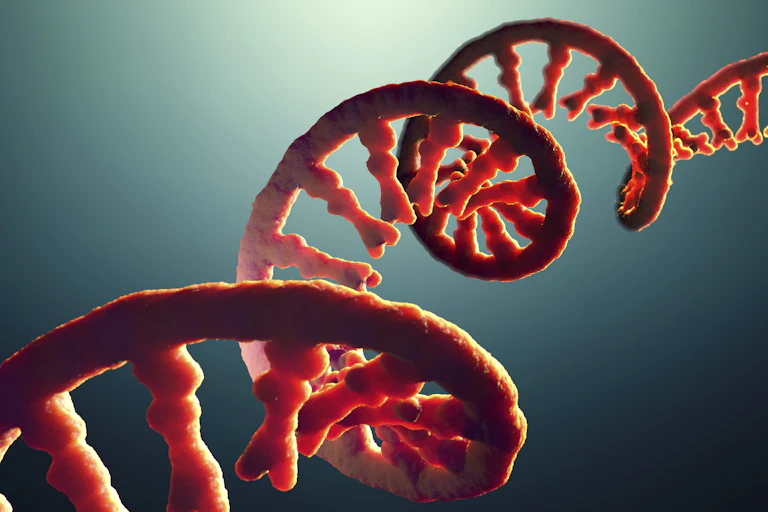 Illustration of an RNA molecule stretching diagonally across a blue background
