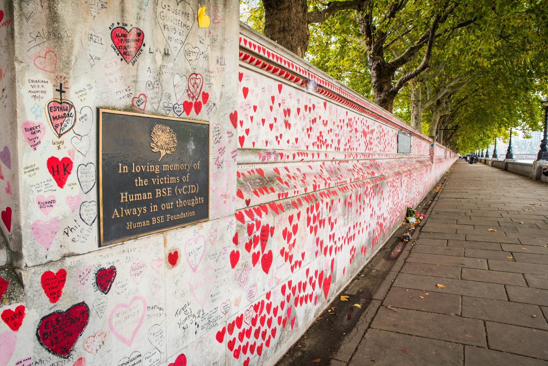 Photo d’une plaque commémorative installée en 1994 à Londres est dédiée à la mémoire des victimes de l’encéphalopathie spongiforme bovine. Le mur sur lequel elle se situe, non loin de St Thomas’ Hospital, est depuis devenu un lieu de souvenir pour les vic