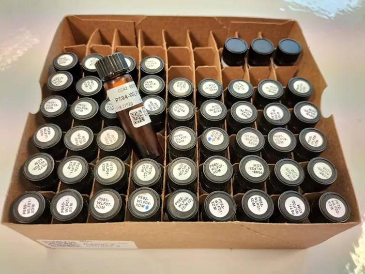 Photo de tubes de collecte dans un carton.