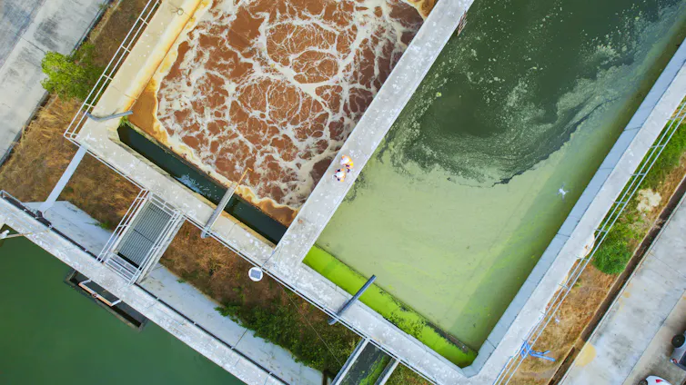 Aerial view of a wastewater treatment plant with some algal growth in one tank.