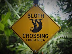 yellow road sign says sloth crossing Costa Rica, forest in background