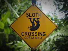 yellow road sign says sloth crossing Costa Rica, forest in background