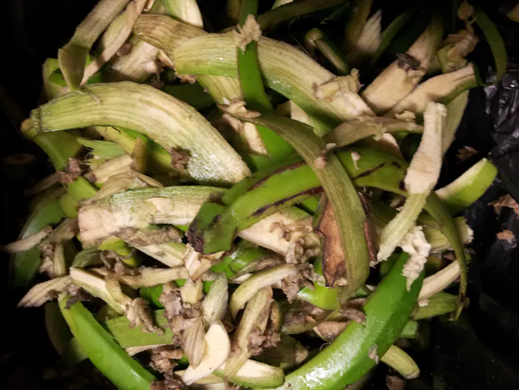 file-20241008-15-s9qv7w.jpg?ixlib=rb-4.1