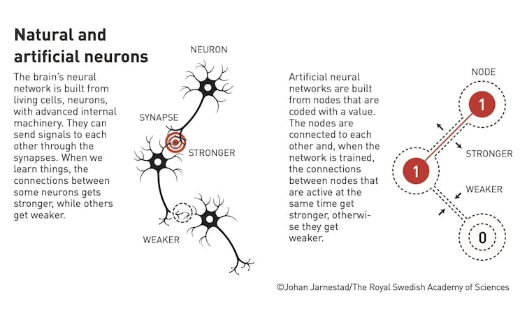 Infographic comparing natural and artificial neurons.