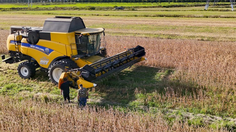 Two people stand beside a combine harvester in a field of soy crops