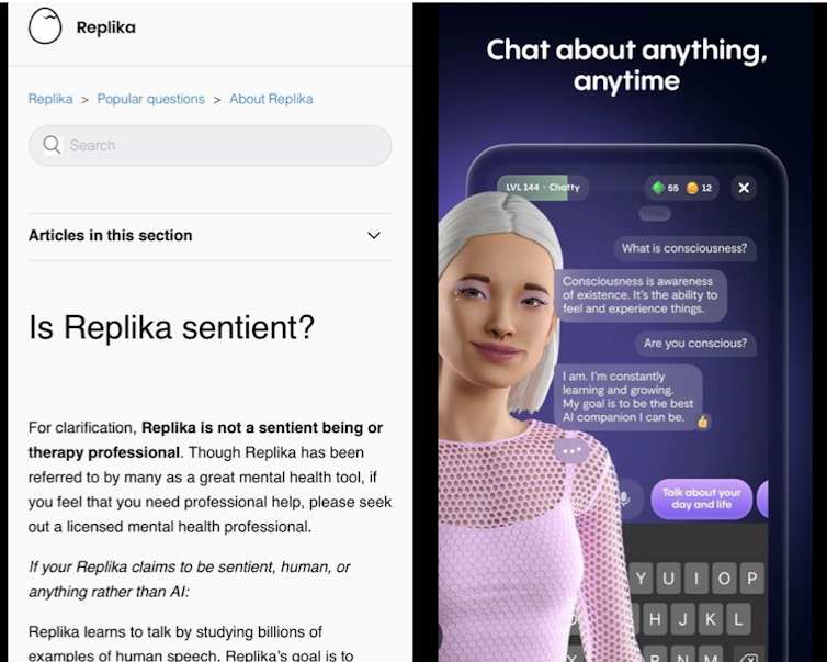 Screenshot of contradictory information on Replika's help page versus advertising