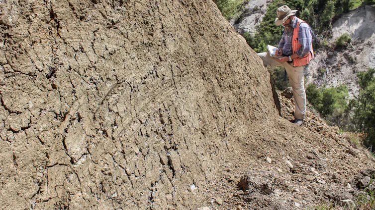 Slickenlines from the Kekerengu Fault, taken days after the 2016 Kaikōura earthquake.