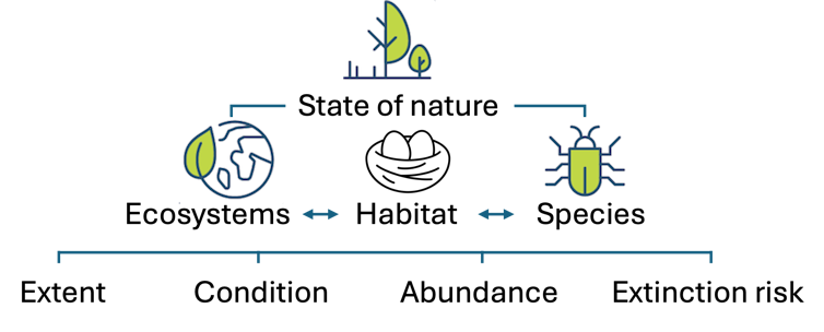 A graphic showing how ecologists measure the state of nature.