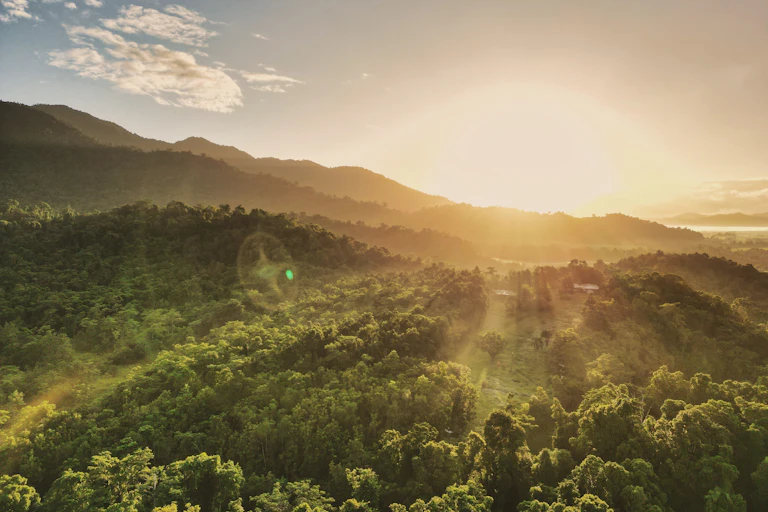 sun shining over forested landscape