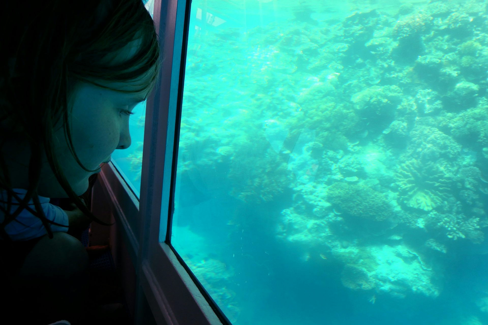 Yes, nature is complex. But saving our precious environment means