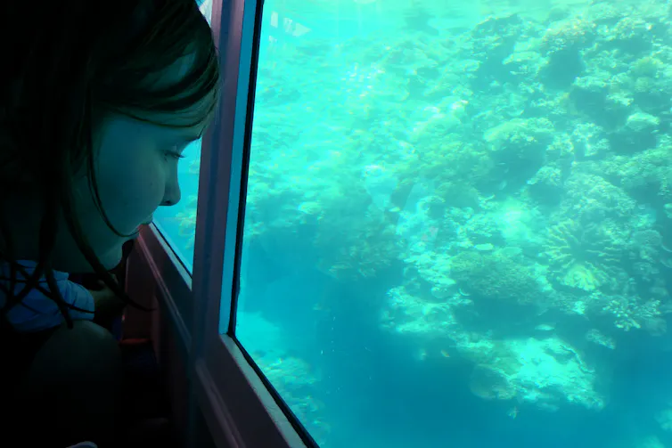 girl looks through glass to coral reef