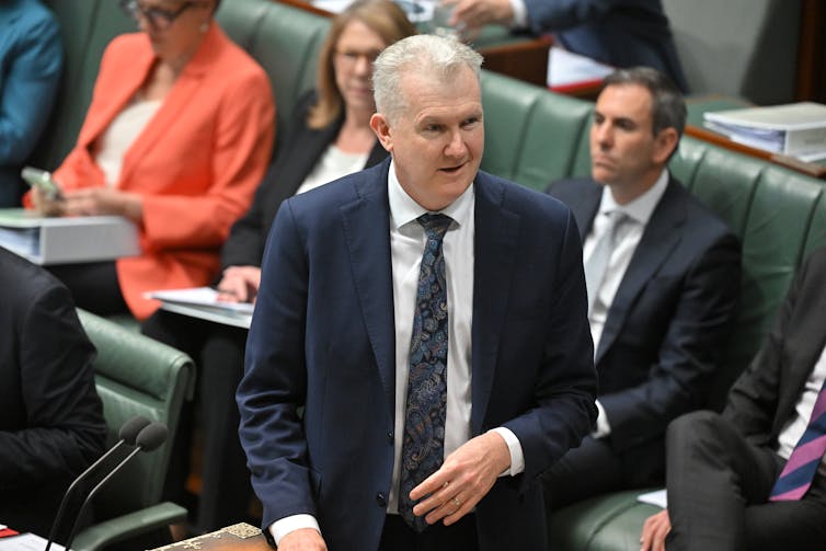 Man with white hair wearing suit and tie standing at microphone in parliament house in front of green leather bench.
