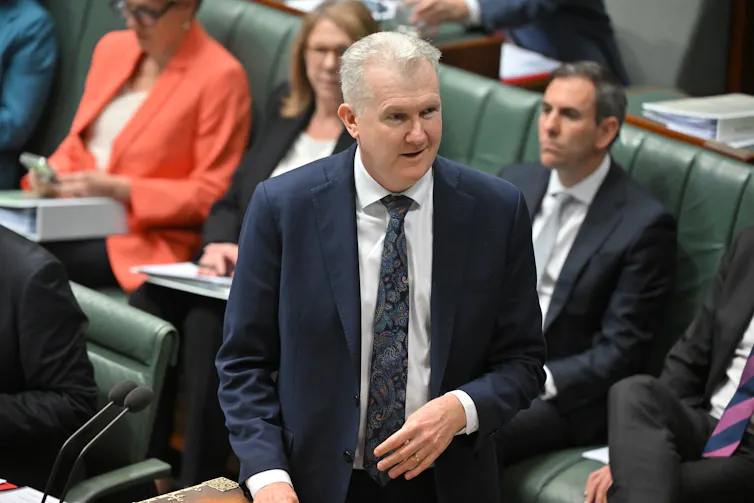 Man with white hair wearing suit and tie standing at microphone in parliament house in front of green leather bench.