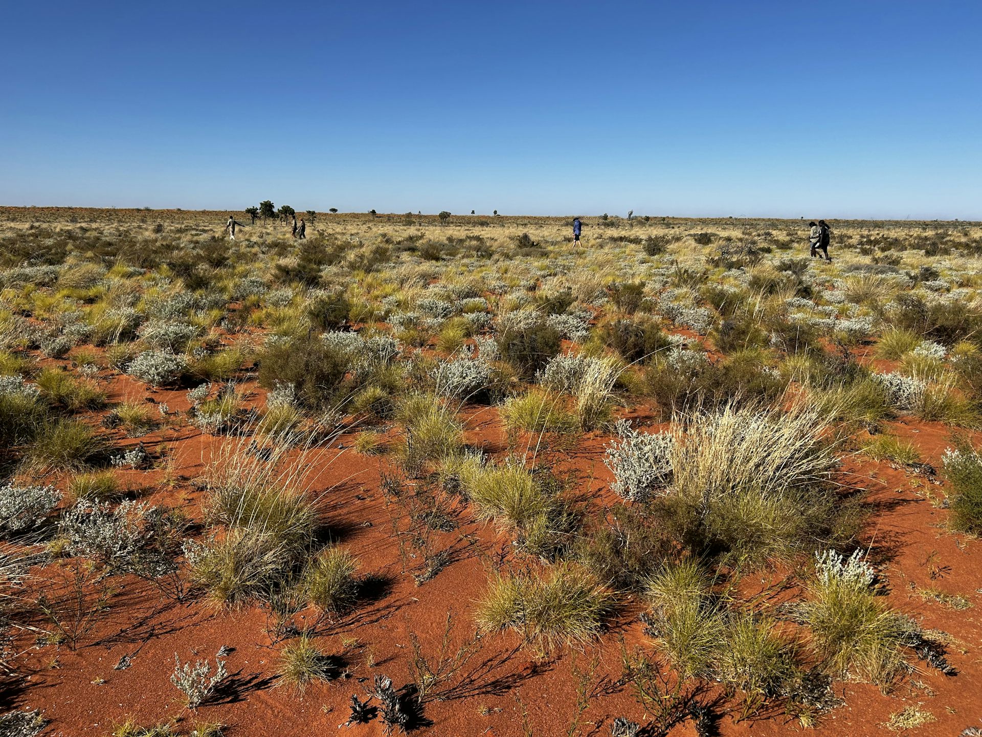 how we returned cultural burning to the Great Sandy Desert