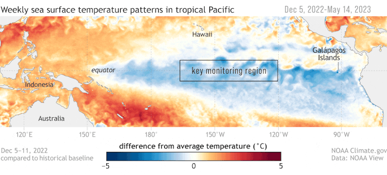 An animation of satellite data shows sea surface temperatures changing over months along the equator in the eastern Pacific Ocean. When they're warmer than normal, that indicates El Niño forming. Cooler than normal indicates La Nina.